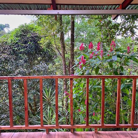 Princesa De La Luna Ecolodge Ла Фортуна Экстерьер фото
