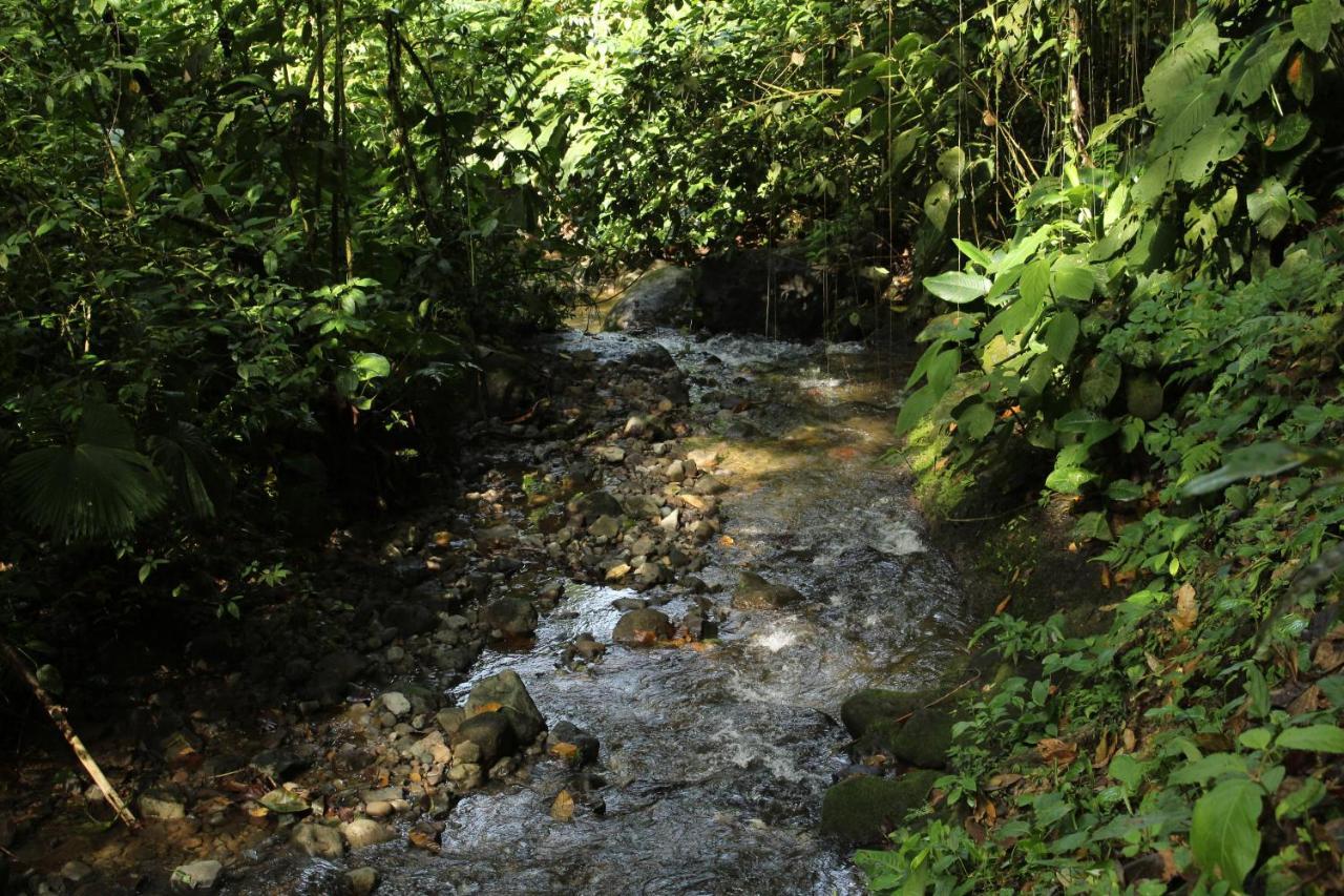 Princesa De La Luna Ecolodge Ла Фортуна Экстерьер фото