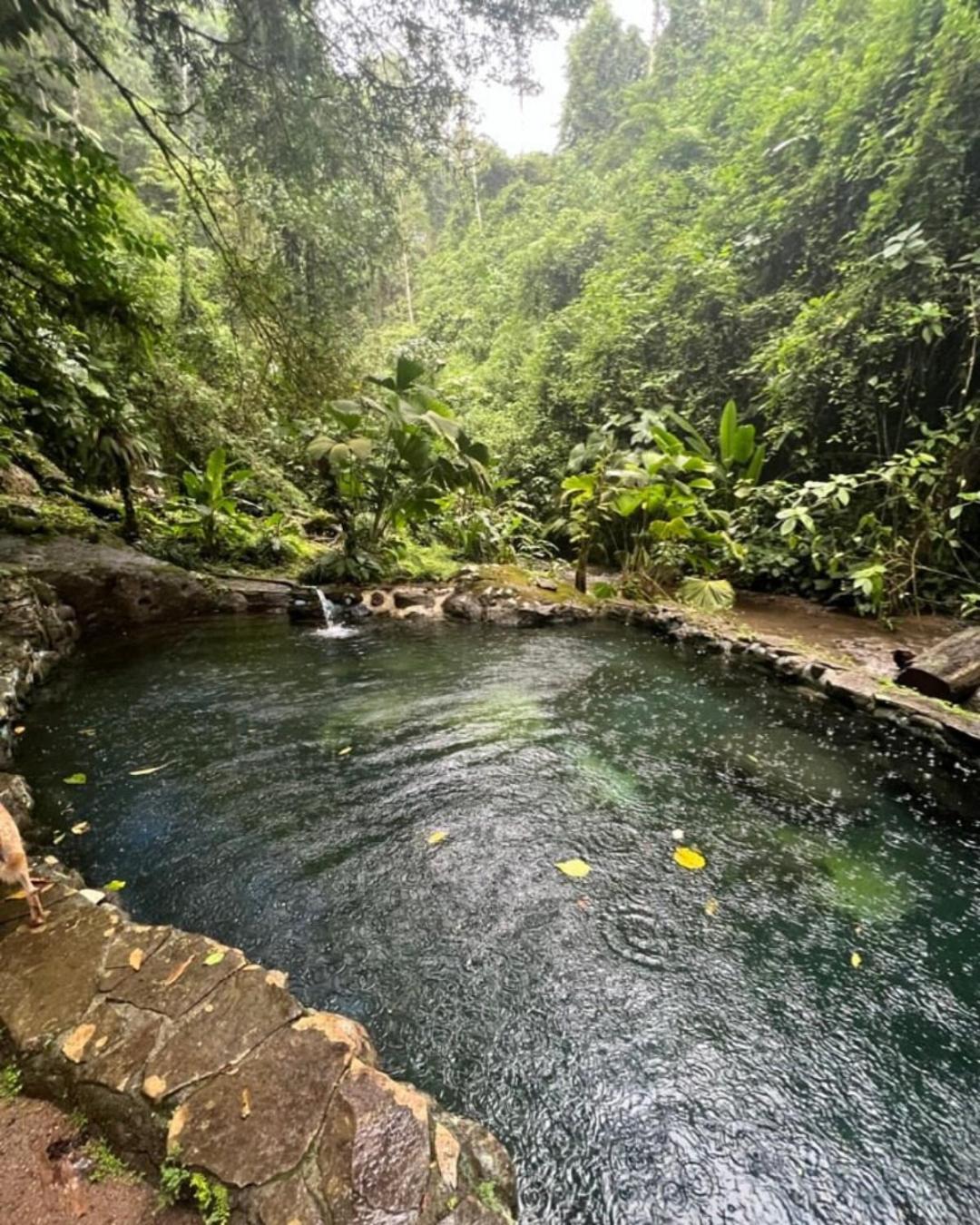 Princesa De La Luna Ecolodge Ла Фортуна Экстерьер фото