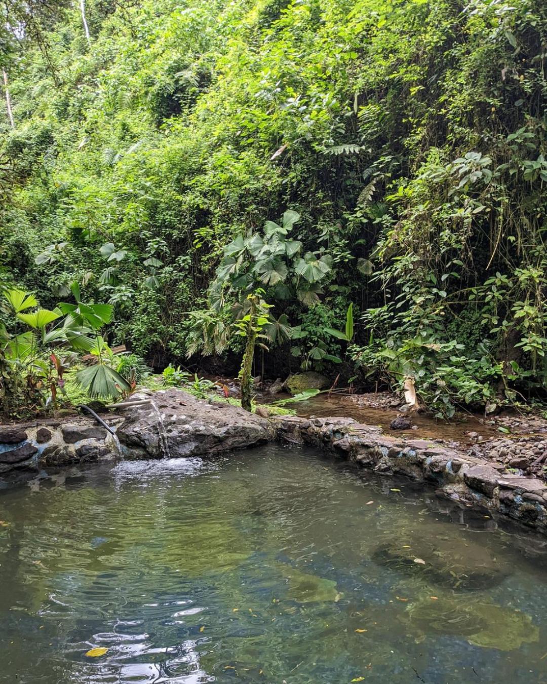 Princesa De La Luna Ecolodge Ла Фортуна Экстерьер фото