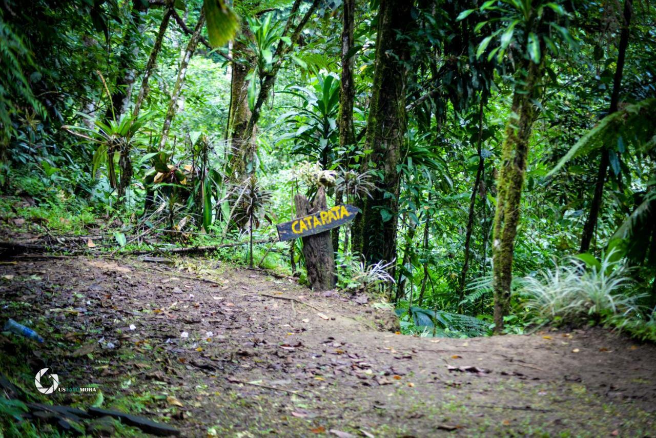 Princesa De La Luna Ecolodge Ла Фортуна Экстерьер фото